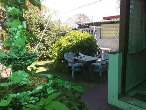 'Patio trasero' Casas particulares are an alternative to hotels in Cuba.